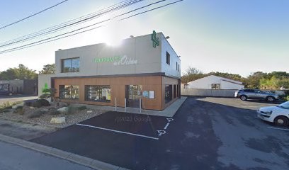 Alexandre Marillas, Dentiste à Royan
