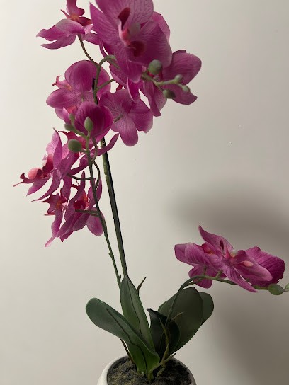 Centre dentaire Docali Lyon 9 Valmy, Dentiste à Lyon 09