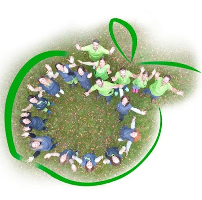 Docteur SAIDI Sofian, Dentiste à Noeux-les-Mines