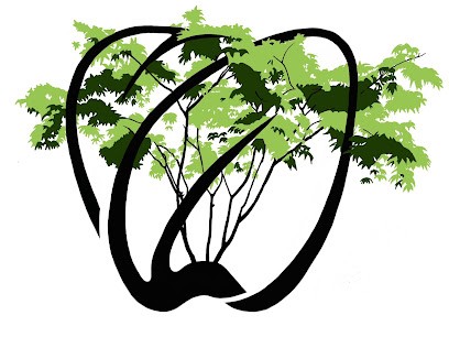 Valérie Amzallag, Dentiste à Paris 04