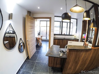 Henric Sarah, Dentiste à Cogolin