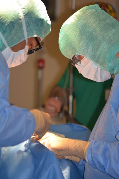 Dentiste - Dr Bouet Jean-François, Dentiste à Perpignan