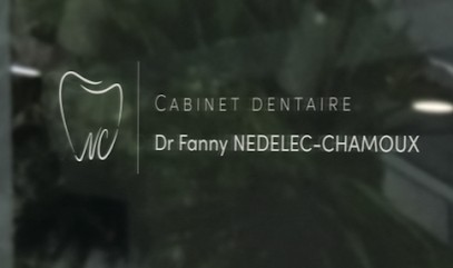 Cabinet Dentaire - Docteur Nedelec-Chamoux Fanny, Dentiste à Pau