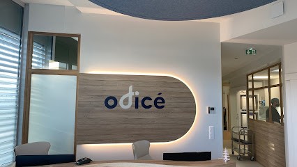 Dr Yann TASSET et Dr Lise TISSERAND , Cabinet Dentaire Odicé, Dentiste à Saint-Herblain