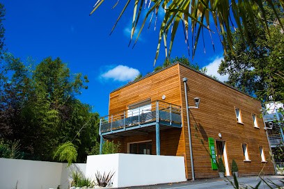 Xavier Massal, Dentiste à Pau