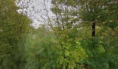 Delaunay Sylvia, Dentiste à Saint-Jean-de-Braye