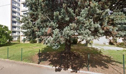 Taillandier Pierre, Dentiste à Vandoeuvre-lès-Nancy