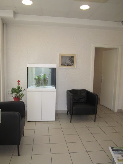 Docteur Arnaud Barthélemy - Chirurgien dentiste à Strasbourg Cronenbourg, Dentiste à Strasbourg