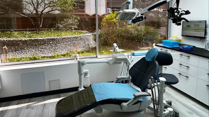 Dr Levy Michael ,chirurgien-dentiste Implantologiste: Implants Dentaires ,couronnes- Onlay, Soins Sous Microscope, Dentiste à Paris 20