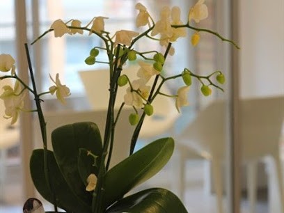 Cabinet Dentaire Dr Laetitia Darré, Dentiste à Toulouse