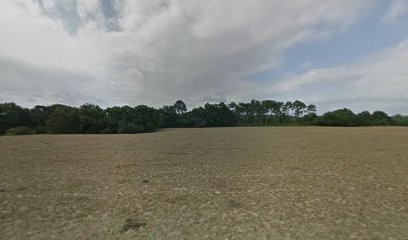 Coline Jonette - Technicien Dentaire Equin, Dentiste à Saubrigues