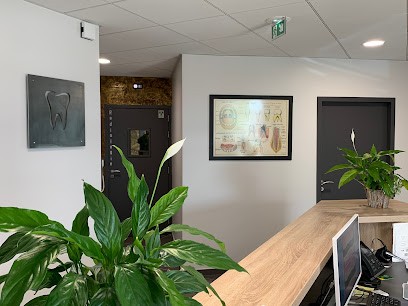 Docteur Stéphane CASTELLANI, Dentiste à Marcigny