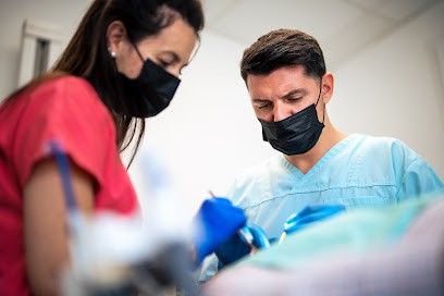 Dr Vlad Alexandru BERBECAR, Dentiste à La Ravoire