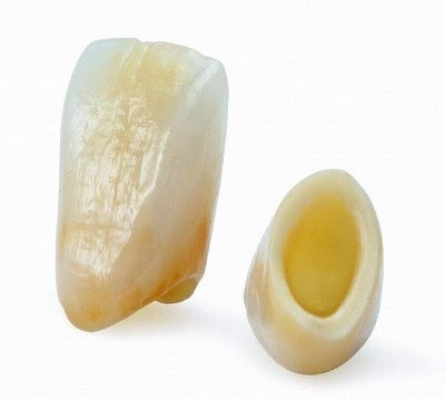 Dr BAROUD Alexandre, Dentiste à Lyon 03