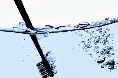 Lebreton Julien, Dentiste à Libourne