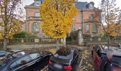 Schmitt Joseph, Dentiste à Colmar