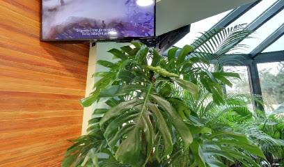 Société Chirurgiens-Dentistes Sommeville, Dentiste à Combs-la-Ville