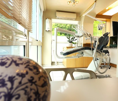 DENTISTE - Dr VALYI Elsa, Dentiste à Toulouse