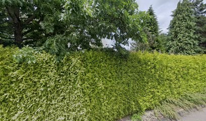Péjout Marguerite, Dentiste à Limoges