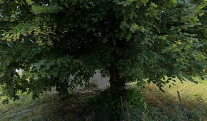 Beaussac Jean-Claude, Dentiste à Ginasservis