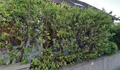 Dr Sabine Diemunsch Chirurgien-dentiste, Dentiste à Fegersheim