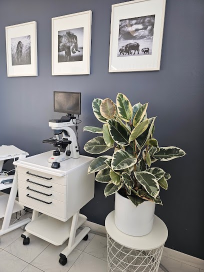 Dr Clares Yannick, Dentiste à La Trinité