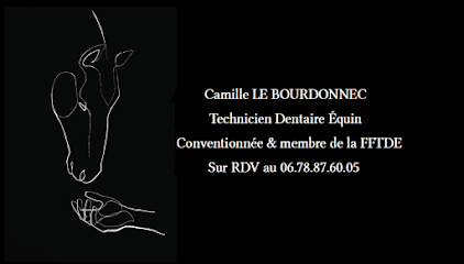 Camille Le Bourdonnec Dentiste Équin Tde Dentiste à Saint-Fiacre