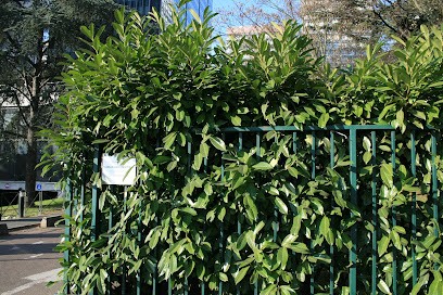 Aharouni Stéfane, Dentiste à Puteaux