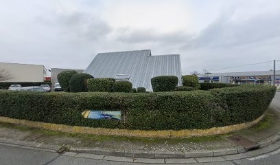 Pyramid Health, Dentiste à La Salvetat-Saint-Gilles