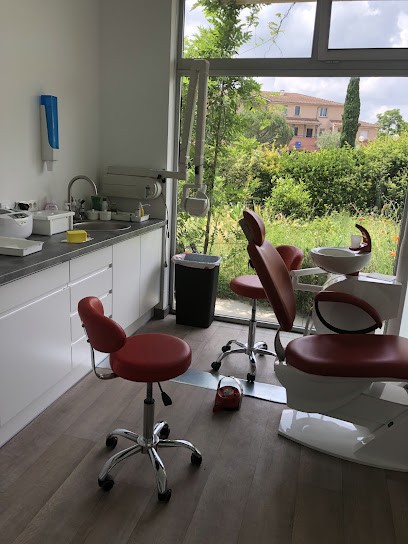 Cabinet dentaire Piedra Perotti, Dentiste à Pinsaguel