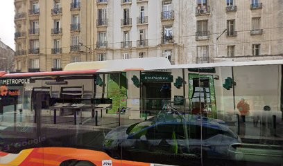 Docteur Tournoud Mirabelle, Dentiste à Marseille 04