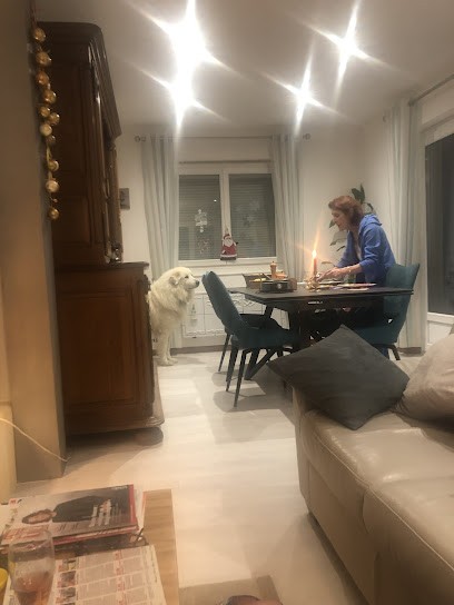 Hospitel Jacques, Dentiste à Exincourt