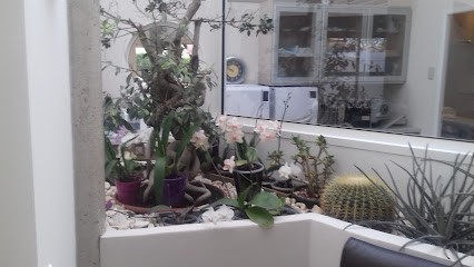 Dr Morin Olivier Implantologie-Parodontologie, Dentiste à Pibrac