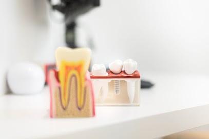 Klein Julien, Dentiste à Lyon 06