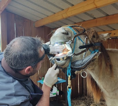 L.F. Dentisterie Equine Ludovic Fournier (Technicien Dentaire Equin), Dentiste à Saint-Sérotin