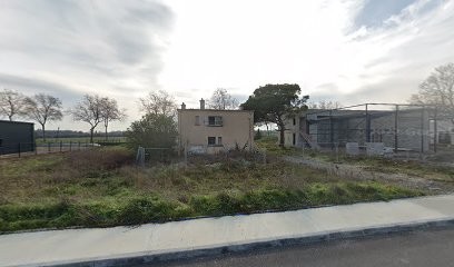 Dr Maelle VERNIER, Dentiste à Pibrac