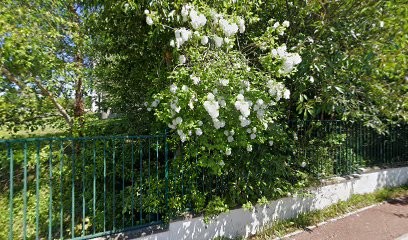 PRO EMAIL, Dentiste à Marly-le-Roi