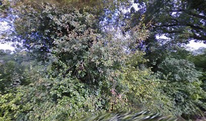 Dr Dessenne Thibaud, Dentiste à Langoiran