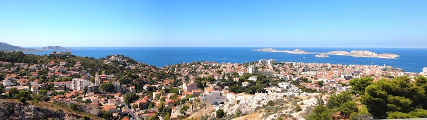Picon Pierre, Dentiste à Marseille 14