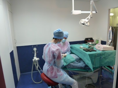 Cabinet Dentaire Metz-Tessy-Epagny (en face de l'hôpital d'Annecy), Dentiste à Epagny Metz-Tessy