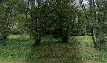 Arnaud MICHEL, Dentiste à Lyon 06