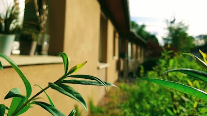 Dr Apolline Trioulaire, Dentiste à Pagney