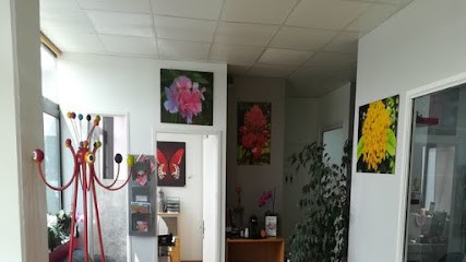 Dr Jean Camille CHAPPOUX, Dentiste à Plaisance-du-Touch