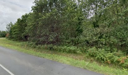 Buc Frédéric, Dentiste à Soustons