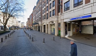 Pizano Dorothy, Dentiste à Lille