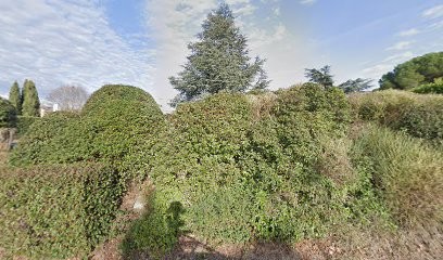 Docteur Emilie JULLIE, Dentiste à Lauzerville