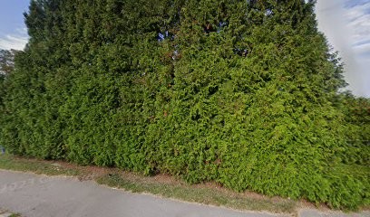 Dr Claire OLIVIER - Chirurgien-dentiste, Dentiste à Saulcy-sur-Meurthe