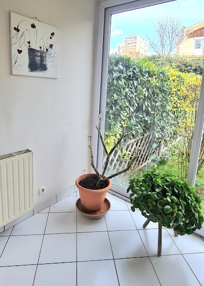 Docteur VO Nhu Phuong, Dentiste à Créteil