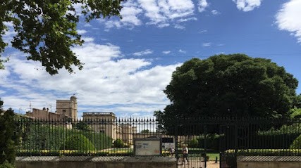 Dr Michel Santonja, Dentiste à Marsillargues