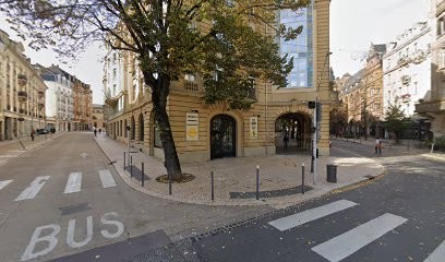 Dr Stephanus Didier - Chirurgien Dentiste, Dentiste à Metz